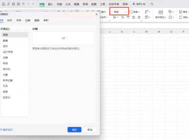 Excel/WPS新手必学！单元格格式设置超全指南，一看就会