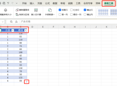 WPS切片器动态筛选数据详细制作步骤分享,小白必学!