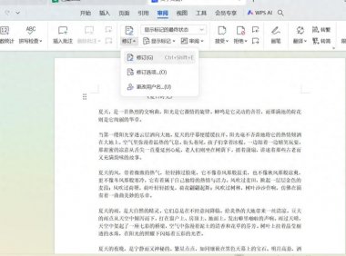 Word文档修订功能全解与实操指南